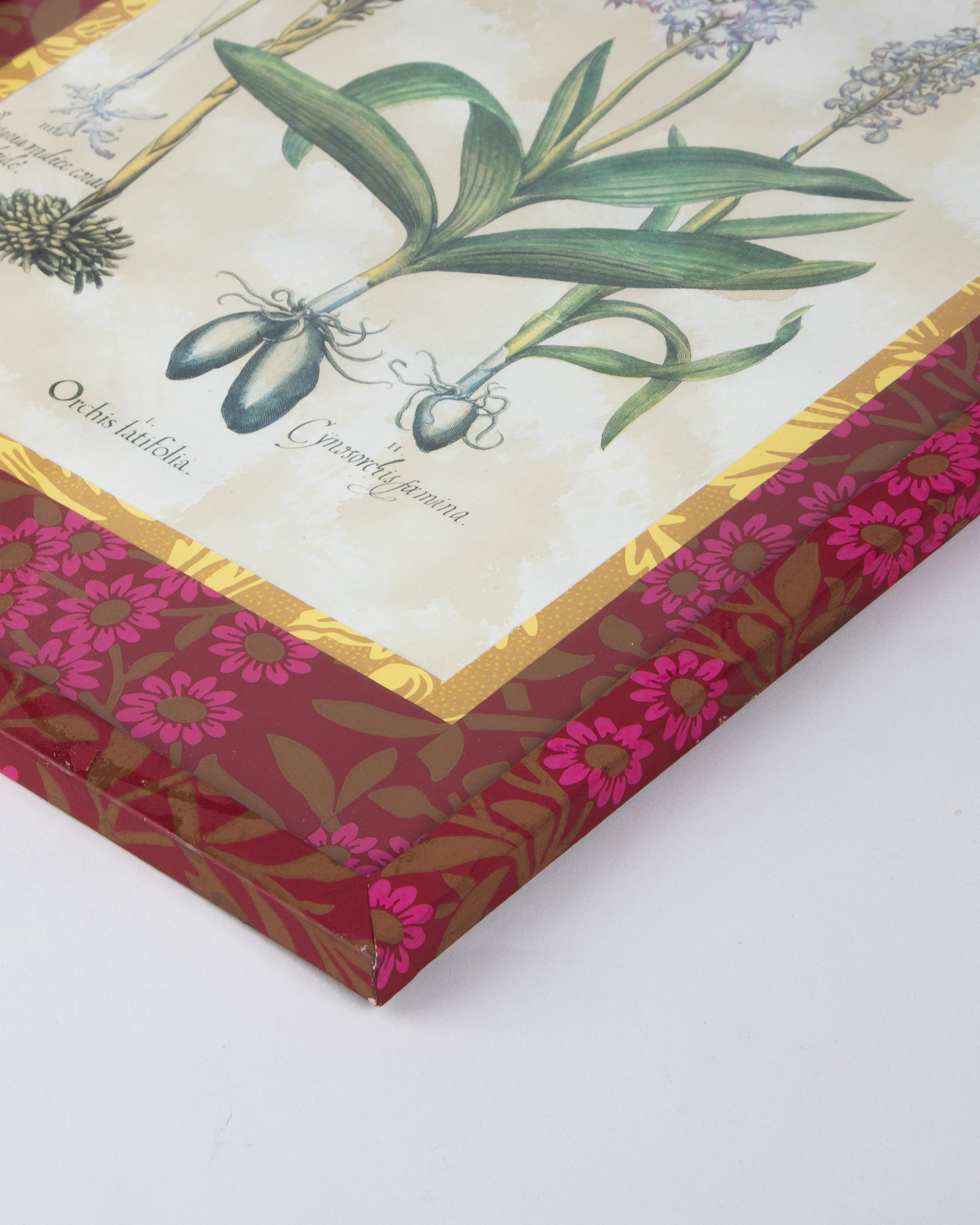 Hand-Aged Besler BotanicalOrchis Latifolia  Print in Fully Fabric-Wrapped William Morris Frame