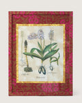 Framed botanical illustration from Basilius Besler's 1613 Hortus Eystettensis, encased in a custom frame and passepartout both fully wrapped by hand in William Morris Fruit pattern wallpaper.