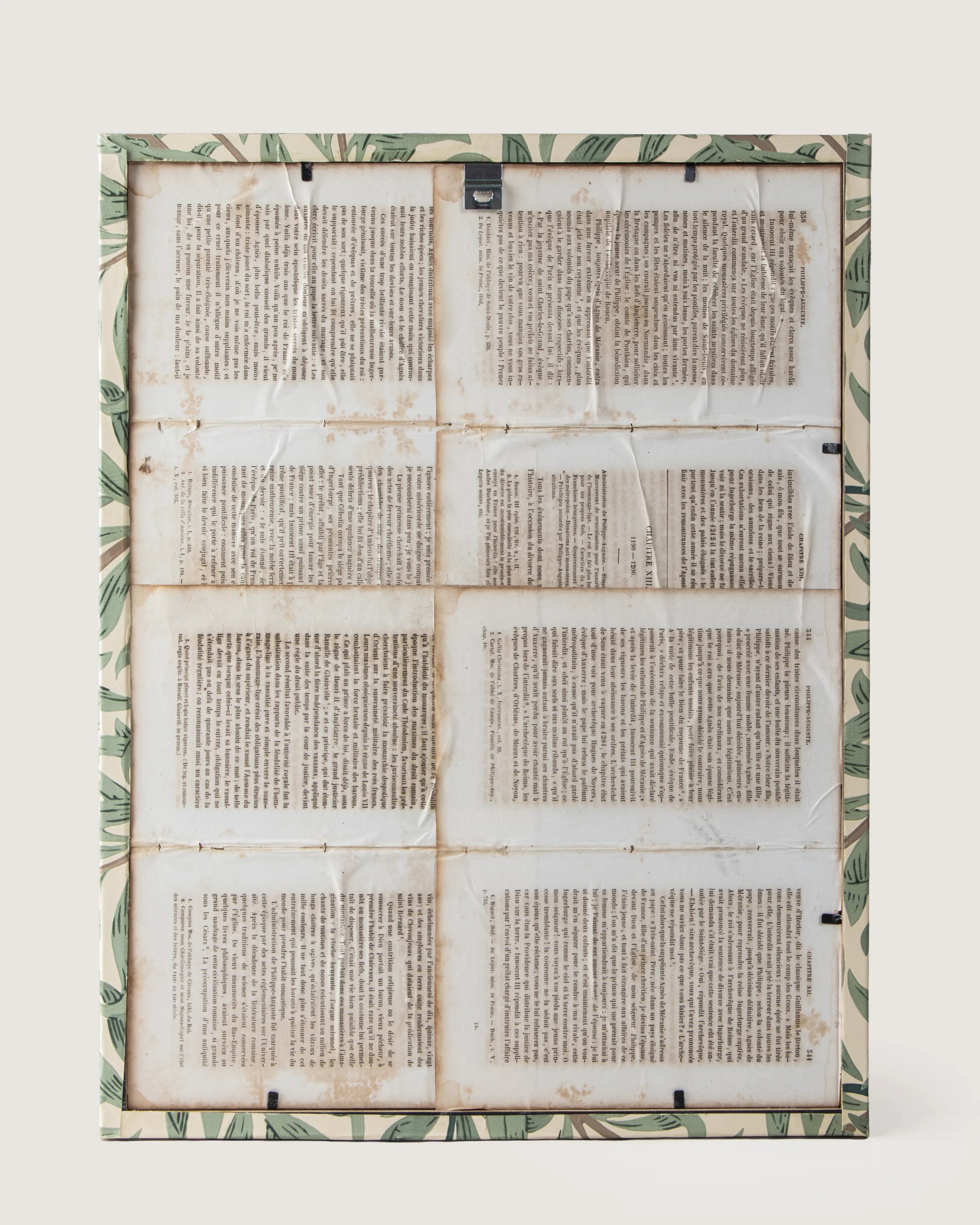 Hand-Aged Besler Staphylodendron Print in Fully Wrapped William Morris Frame