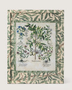 Framed botanical illustration of Staphylodendron and Clematis daphnoides plants from Besler's 1613 Hortus Eystettensis, encased in a custom frame and passepartout both fully wrapped by hand in patterned William Morris wallpaper.