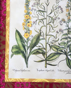 Hand-Aged Besler Verbascum & Tripolium Print in Fully Wrapped Custom Frame