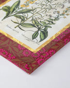 Hand-Aged Besler Verbascum & Tripolium Print in Fully Wrapped Custom Frame