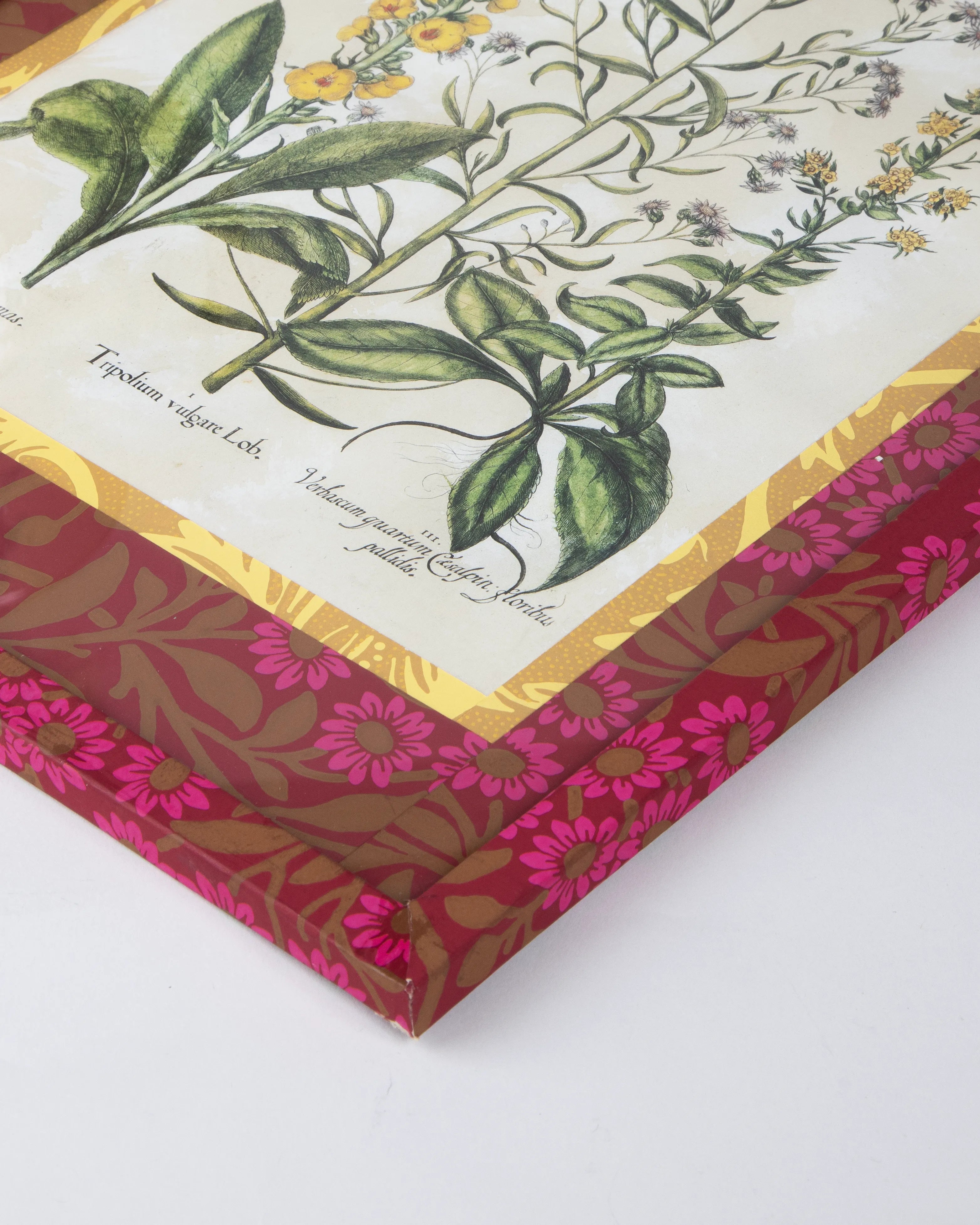 Hand-Aged Besler Verbascum & Tripolium Print in Fully Wrapped Custom Frame