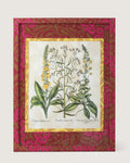 Framed botanical illustration of Verbascum and Tripolium plants from Besler's 1613 Hortus Eystettensis, inside a gold mount and a frame fully wrapped in bordeaux and fuchsia William Morris wallpaper.