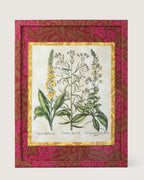 Framed botanical illustration of Verbascum and Tripolium plants from Besler's 1613 Hortus Eystettensis, inside a gold mount and a frame fully wrapped in bordeaux and fuchsia William Morris wallpaper.