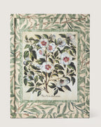 Framed botanical illustration of an Alcca Syriaca white hibiscus plant from Besler's 1613 Hortus Eystettensis, encased in a custom frame and passepartout both fully wrapped by hand in green William Morris foliage wallpaper.